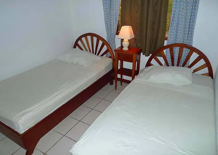Centric, Clean, Safe, With Pool & Monkey Visitors Apartamento *