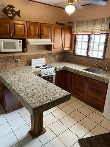 Centric, Clean, Safe, With Pool & Monkey Visitors Apartamento *