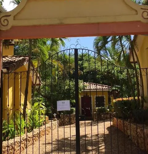 Centric, Clean, Safe, With Pool & Monkey Visitors *