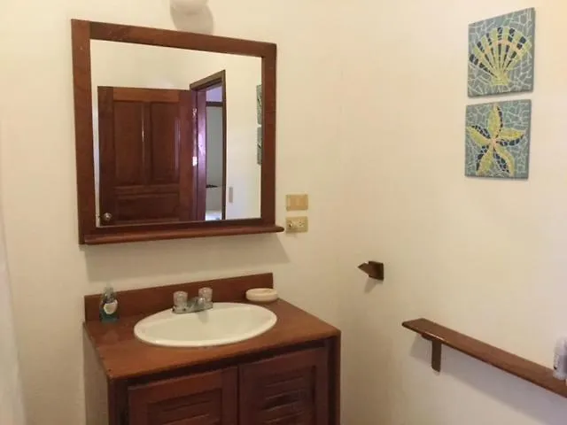 Centric, Clean, Safe, With Pool & Monkey Visitors Apartamento *